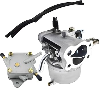 Amazon.com: ALL-CARB 72021-G01 Carburetor with Fuel Pump